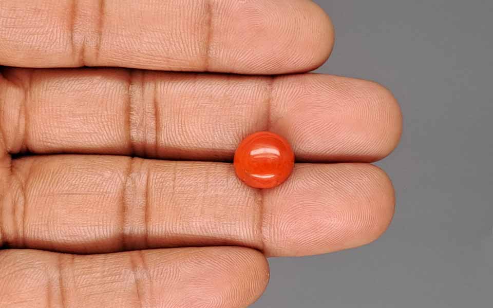 Red Coral - 4.21 Carat (4.65 Ratti - Moonga)