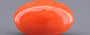 Red Coral - 5.08 Carat (5.61 Ratti - Moonga)
