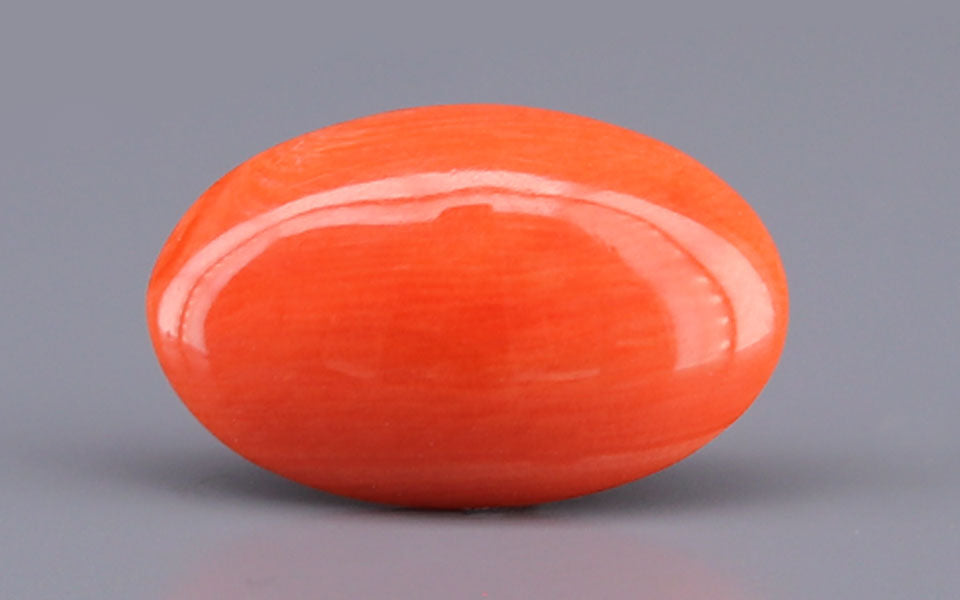 Red Coral - 5.08 Carat (5.61 Ratti - Moonga)