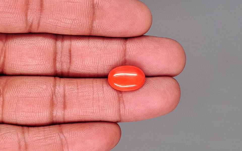 Red Coral - 5.11 Carat (5.65 Ratti - Moonga)