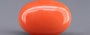 Red Coral - 5.11 Carat (5.65 Ratti - Moonga)