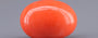 Red Coral - 5.42 Carat (5.99 Ratti - Moonga)