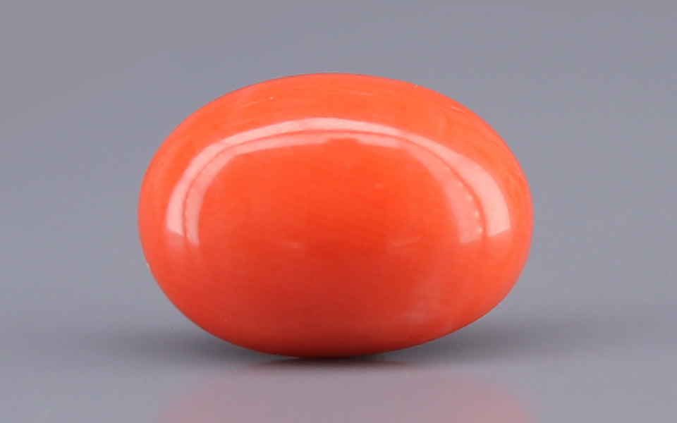 Red Coral - 5.42 Carat (5.99 Ratti - Moonga)