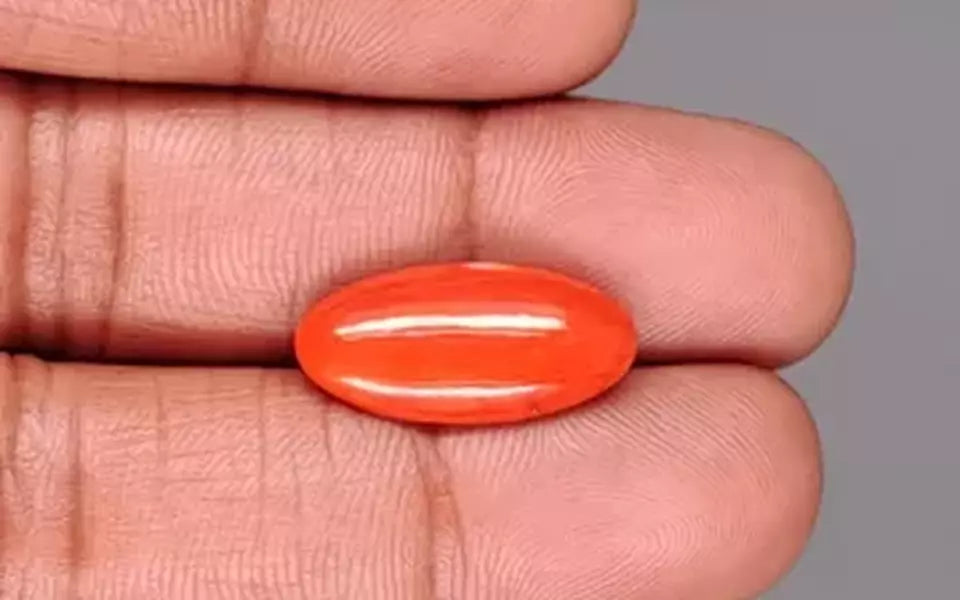 Red Coral - 6.29 Carat (6.95 Ratti - Moonga)