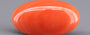 Red Coral - 6.55 Carat (7.24 Ratti - Moonga)