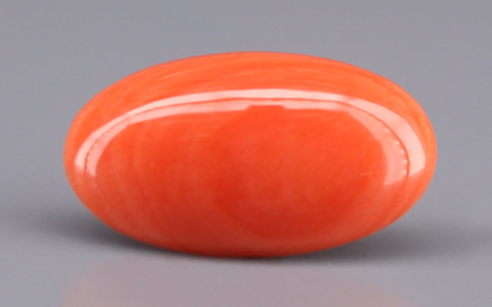 Red Coral - 6.55 Carat (7.24 Ratti - Moonga)