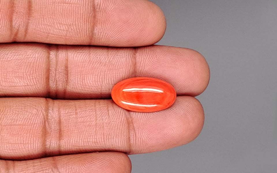 Red Coral - 6.55 Carat (7.24 Ratti - Moonga)