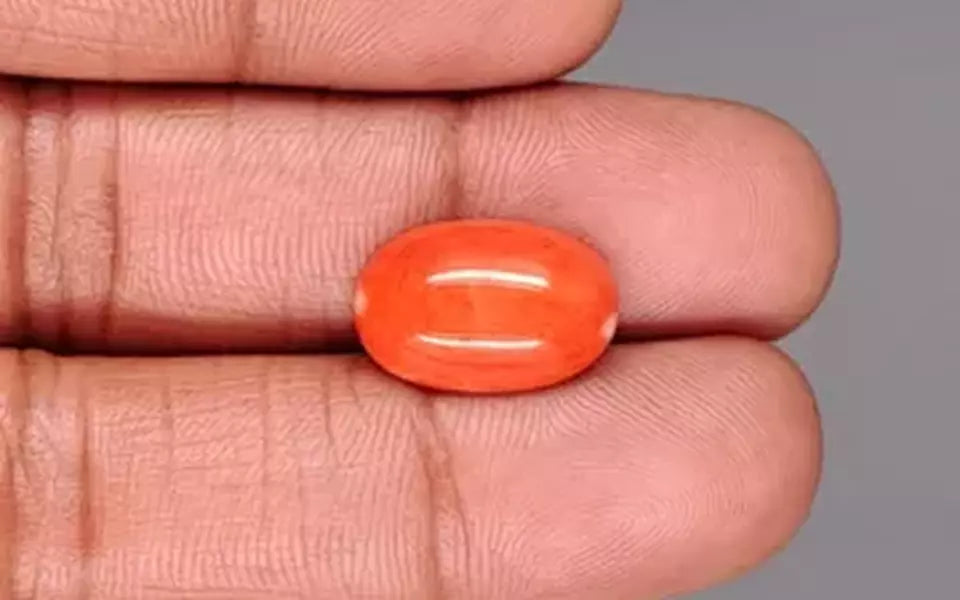 Japanese Red Coral - 6.66 Carat Rare Quality CC-5884