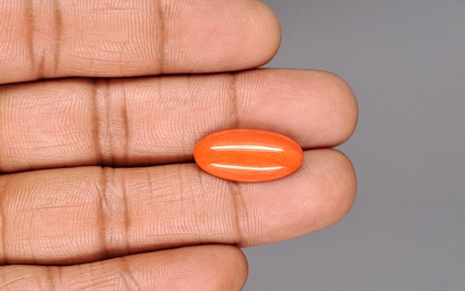 Red Coral - 6.94 Carat (7.67 Ratti - Moonga)