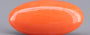 Red Coral - 6.94 Carat (7.67 Ratti - Moonga)