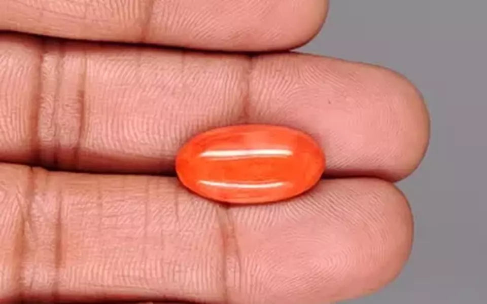 Red Coral - 7.07 Carat (7.81 Ratti - Moonga)