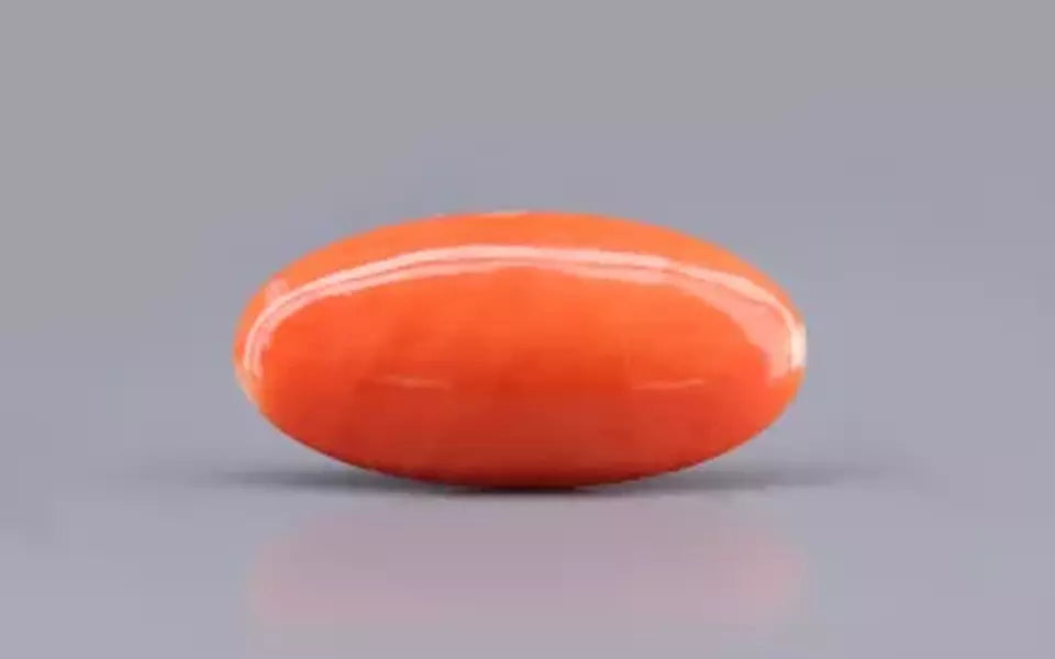 Red Coral - 7.13 Carat (7.88 Ratti - Moonga)