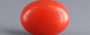 Red Coral - 7.53 Carat (8.32 Ratti - Moonga)