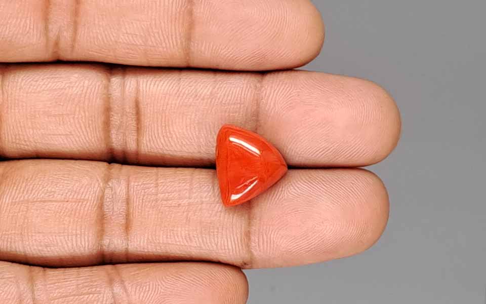 Red Coral - 7.76 Carat (8.57 Ratti - Moonga)
