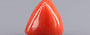 Red Coral - 7.76 Carat (8.57 Ratti - Moonga)
