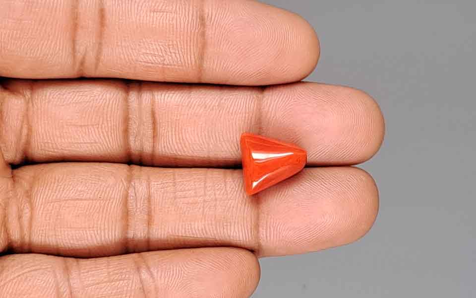 Red Coral - 7.78 Carat (8.60 Ratti - Moonga)