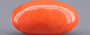 Red Coral - 8.14 Carat (8.99 Ratti - Moonga)