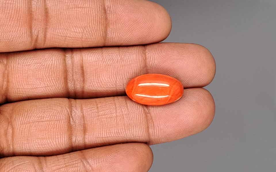 Red Coral - 8.14 Carat (8.99 Ratti - Moonga)