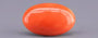Red Coral - 8.22 Carat (9.08 Ratti - Moonga)