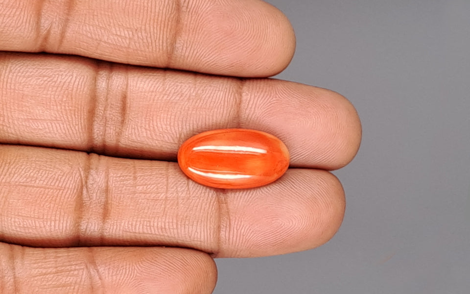 Red Coral - 8.24 Carat (9.10 Ratti - Moonga)