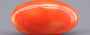 Red Coral - 8.24 Carat (9.10 Ratti - Moonga)