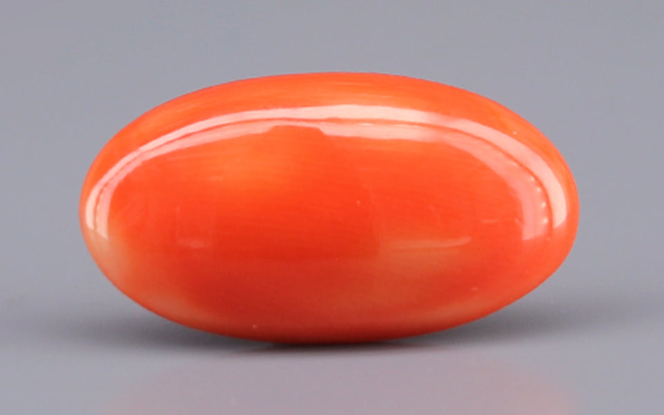 Red Coral - 8.24 Carat (9.10 Ratti - Moonga)