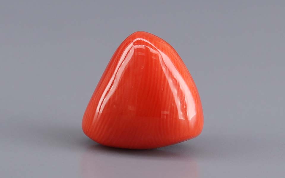Japanese Red Coral - 8.28 Carat Rare Quality TC-5437