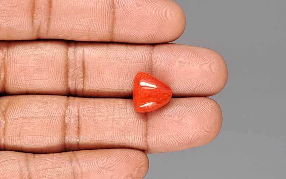 Red Coral - 8.28 Carat (9.15 Ratti - Moonga)