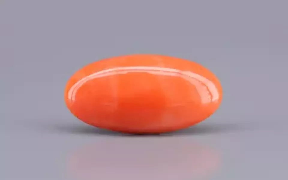 Red Coral - 9.10 Carat (10.06 Ratti - Moonga)