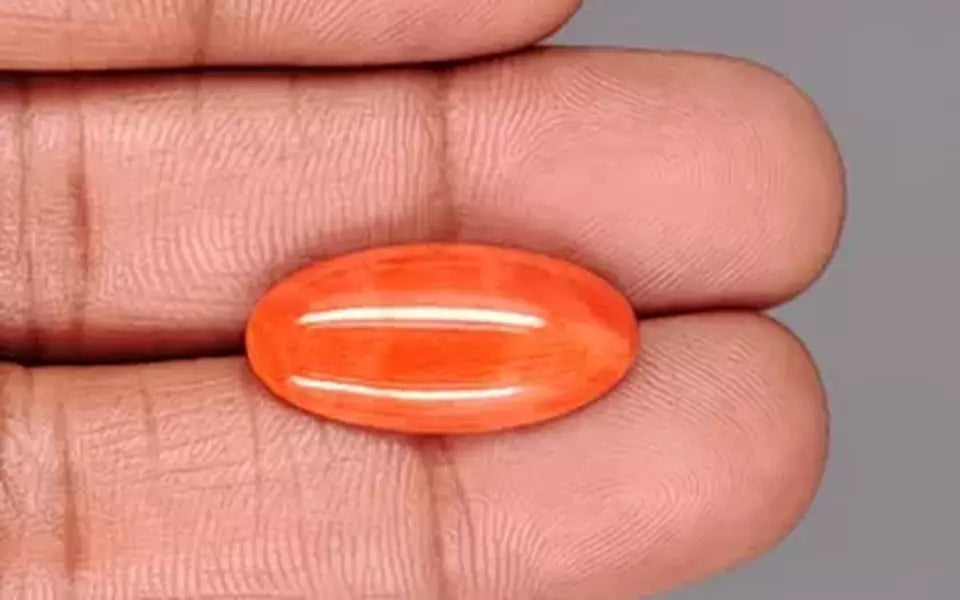 Red Coral - 9.10 Carat (10.06 Ratti - Moonga)
