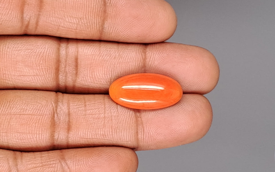 Red Coral - 9.97 Carat (11.02 Ratti - Moonga)