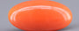 Red Coral - 9.97 Carat (11.02 Ratti - Moonga)