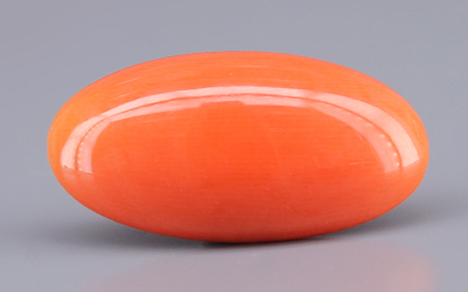 Red Coral - 9.97 Carat (11.02 Ratti - Moonga)