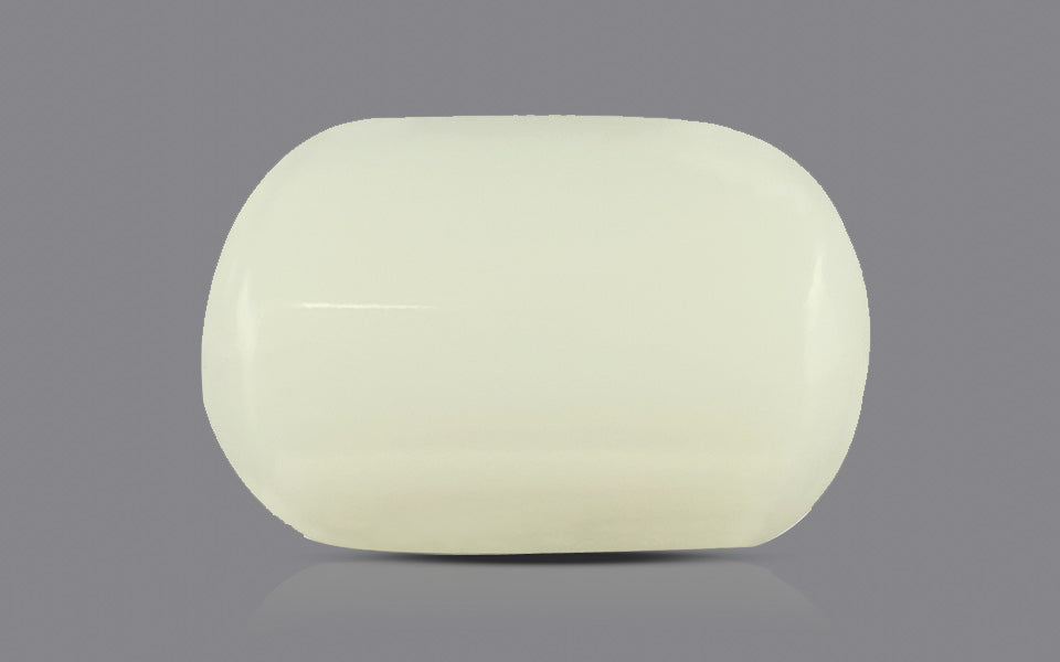 Japanese White Coral - 3.7 Carat Prime Quality WC-7507