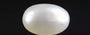 Keshi Pearl - 1.98 Carat Prime Quality SSP-8792