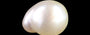Keshi Pearl - 10.14 Carat Limited Quality SSP-8983