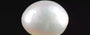 Keshi Pearl - 2.17 Carat Prime Quality SSP-8788