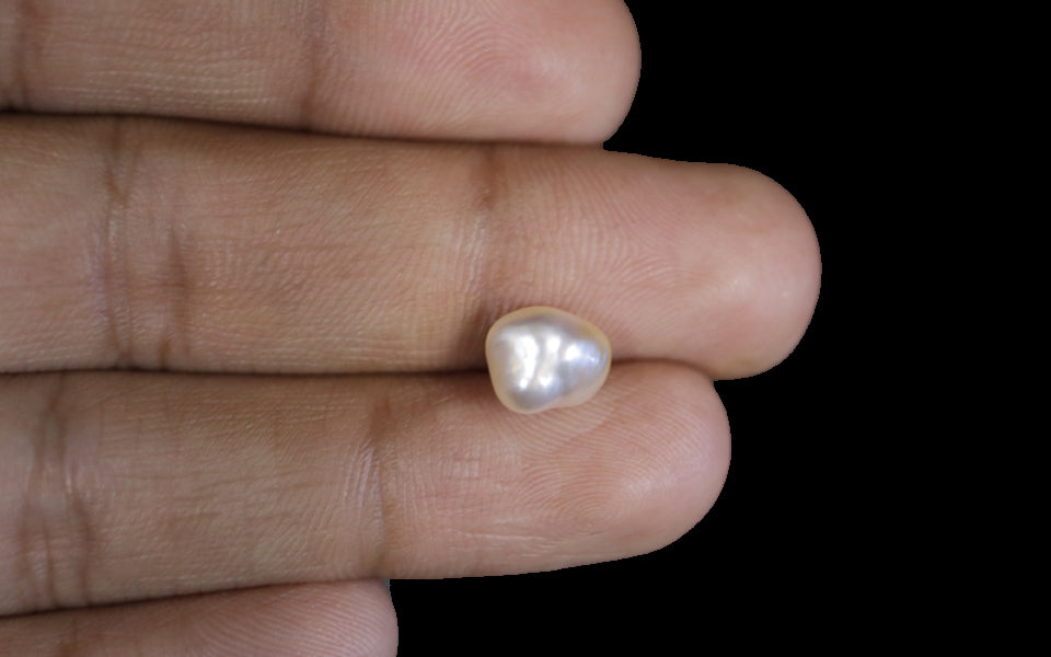 Keshi Pearl - 2.34 Carat Limited Quality SSP-8624
