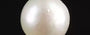 Keshi Pearl - 2.75 Carat Prime Quality SSP-8757