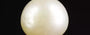 Keshi Pearl - 2.79 Carat Prime Quality SSP-8749