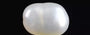 Keshi Pearl - 2.84 Carat Limited Quality SSP-8795