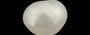 Keshi Pearl - 3.21 Carat Fine Quality SSP-8528