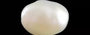 Keshi Pearl - 3.53 Carat Limited Quality SSP-8911