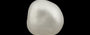 Keshi Pearl - 3.70 Carat Prime Quality SSP-8529