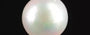 Keshi Pearl - 3.73 Carat Prime Quality SSP-8737