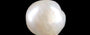 Keshi Pearl - 4.00 Carat Prime Quality SSP-9073
