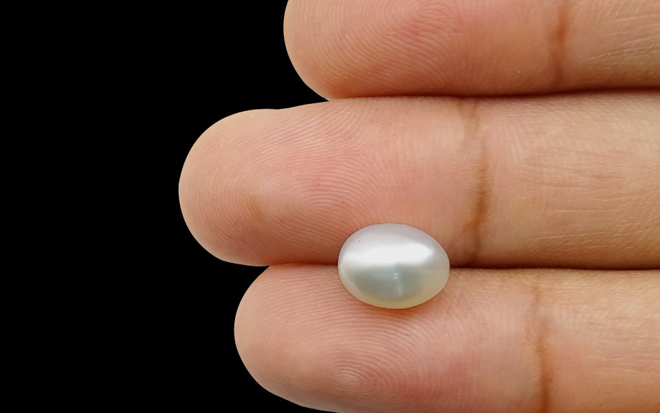 Keshi Pearl - 4.08 Carat Prime Quality SSP-8535