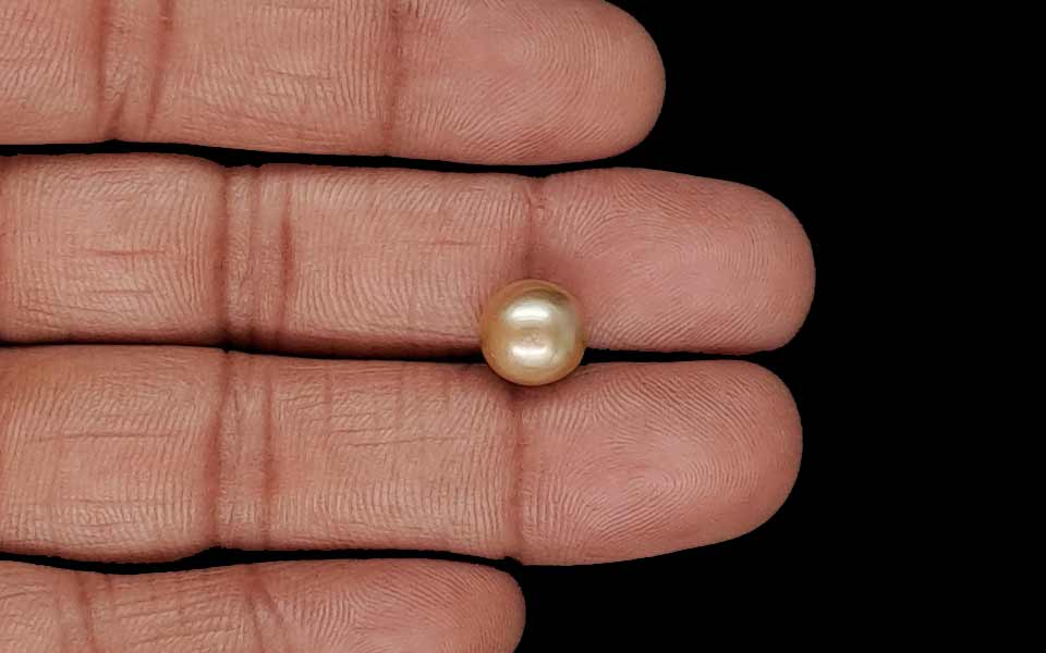 Keshi Pearl - 4.49 Carat Prime Quality SSP-8998
