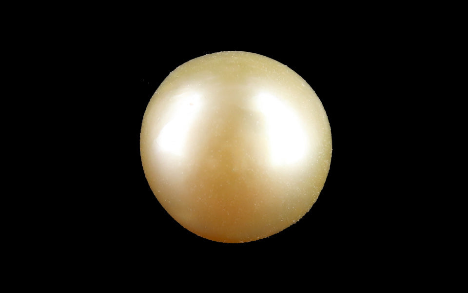 Keshi Pearl - 4.49 Carat Prime Quality SSP-8998