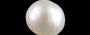 Keshi Pearl - 4.75 Carat Prime Quality SSP-9078